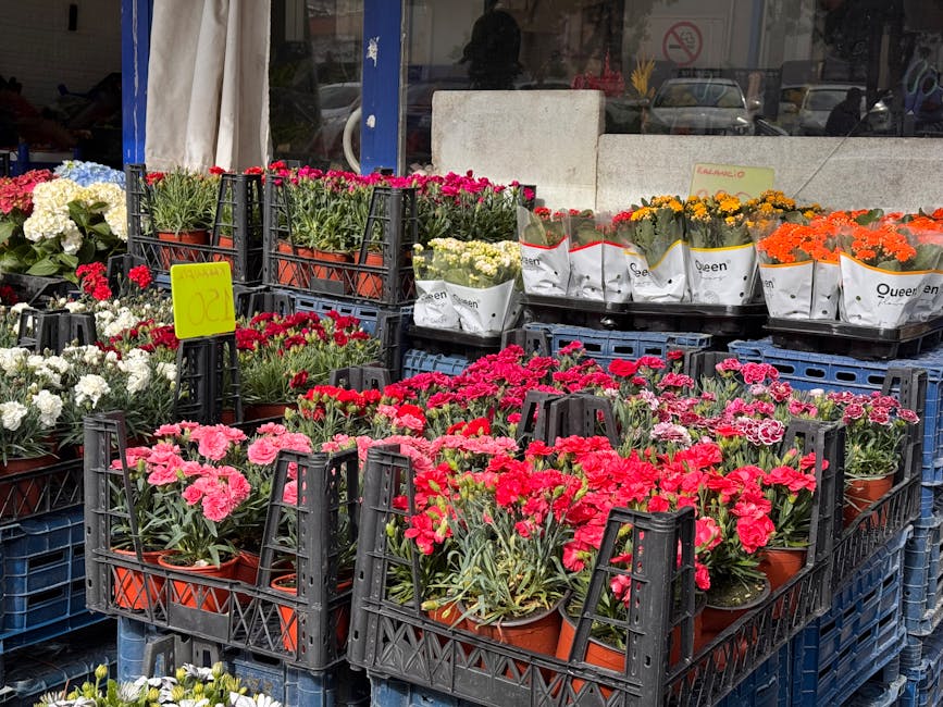 A display of vibrant potted flowers arranged in black plastic crates outside a flower shop. The collection includes pink, red, white, orange, and yellow blooms, with some in paper wrapping labeled 'Qu
